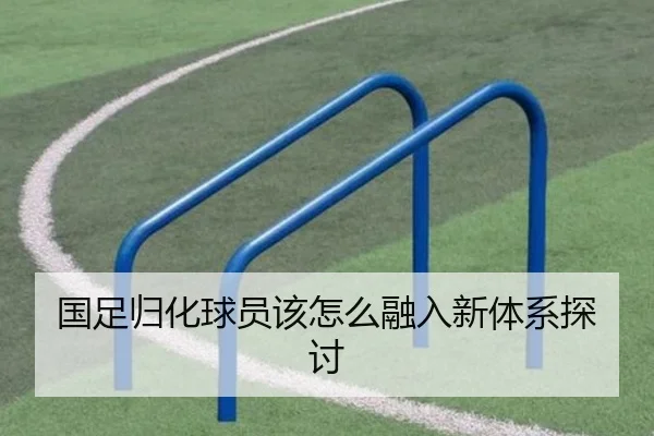 国足归化球员该怎么融入新体系探讨